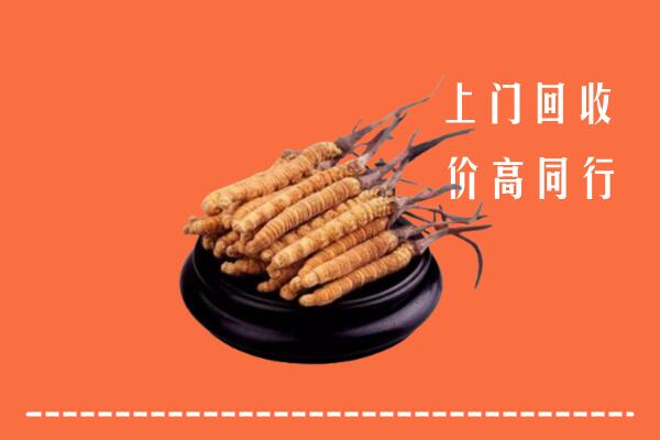 高价求购：石城县回收散虫草