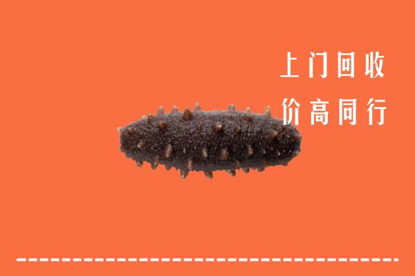 石城县回收海参