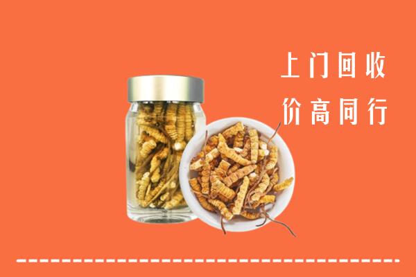 石城县回收冬虫夏草