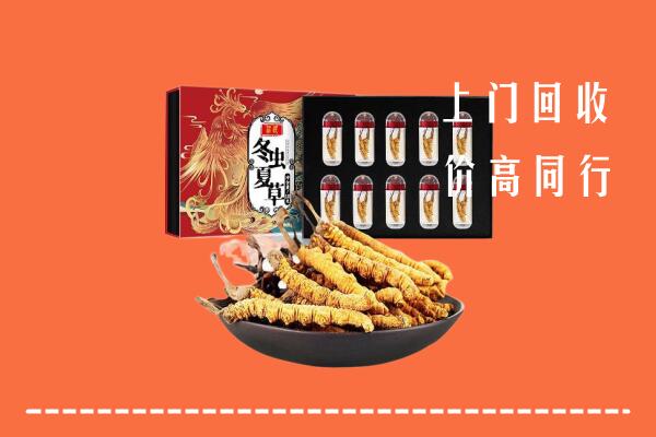 石城县回收虫草